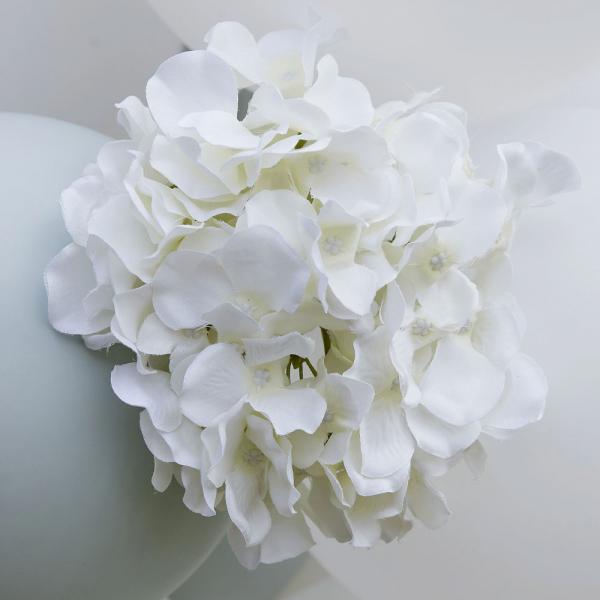 Tekohortensia Botanical Wedding